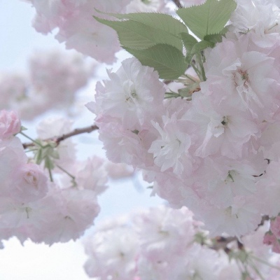 兽设配饰设计灵感合集FurryQQ群